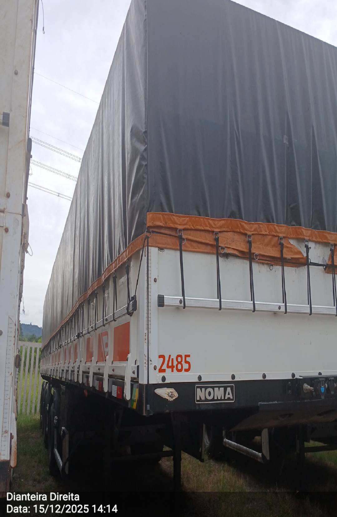 NOMA